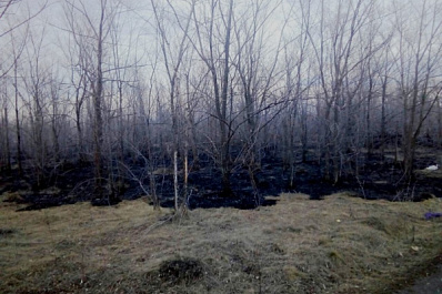 В Самарской области произошло за сутки 84 природных пожара