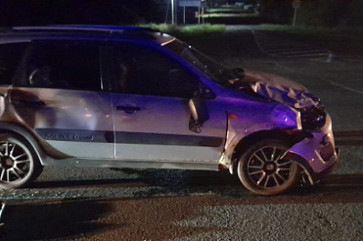 В Самарской области на трассе легковушка задавила корову