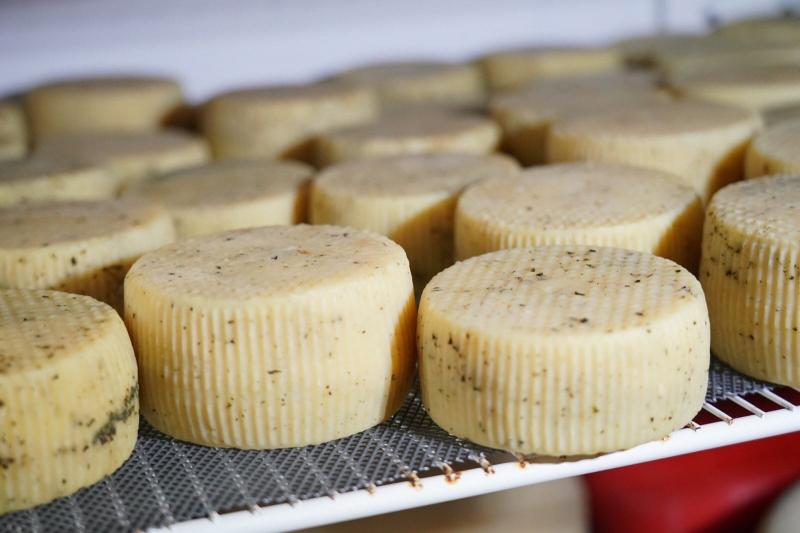 Благодаря социальному контракту жительница Самары открыла собственное производство сыров