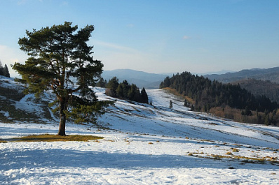 В Самарской области рабочая неделя начнется со снегопада и потепления