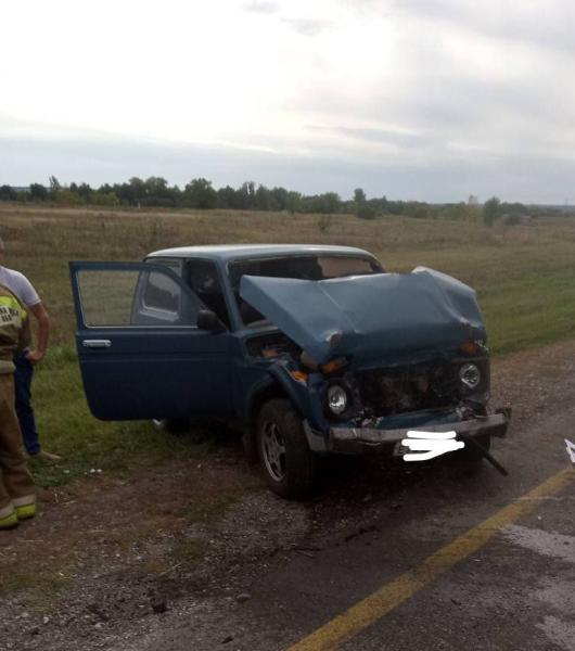 В Самарской области на трассе лоб в лоб столкнулись "Нива" и фура