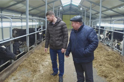 Более 120 млн рублей выделят на развитие семейных ферм в Самарской области в 2021 году