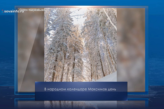 Максимов день. Календарь Губернии от 3 февраля