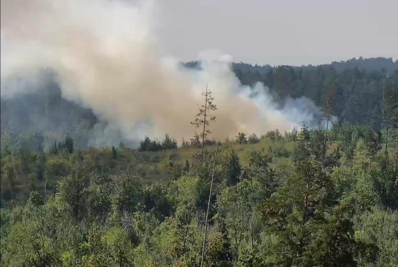 Пожарные из Самары и Тольятти несколько часов борются с огнем в лесу в Центральном районе