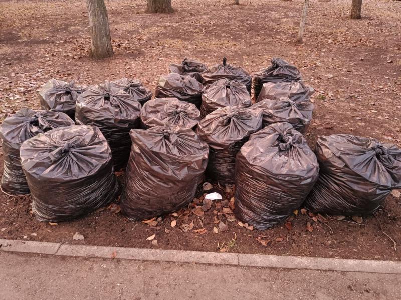 Самарцам рассказали, где можно получить инвентарь для субботников