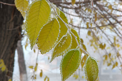 Ночью 13 ноября в Самарской области похолодает до -5 °C