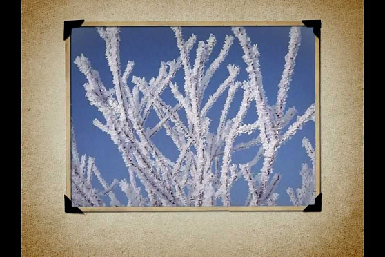 Календарь Губернии 29.12.2012