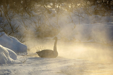 В Самарской области резко похолодает