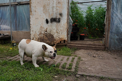 Название статьи