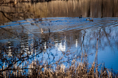 Ботанический сад в Самаре готовится к открытию в новом сезоне