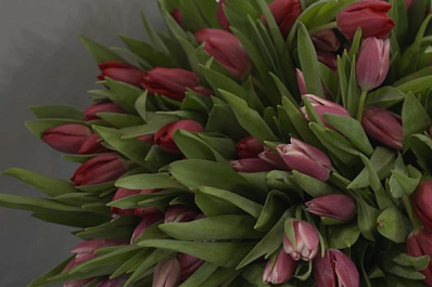 Тысячи цветов: в праздник гостьи выставки "Россия" не остались без букетов