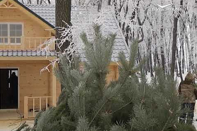 Новый год у "Самара Арены": как это будет