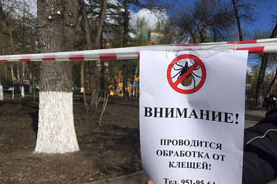 211 гектаров земли в Самаре обработают от клещей