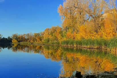 Название статьи