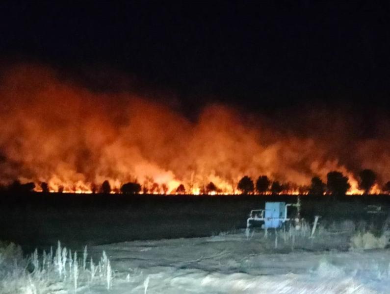В Самарской области полыхала трава на 800 "квадратах"