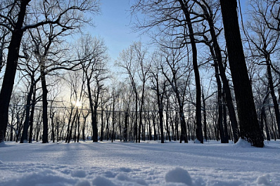 Жителей Самарской области 28 февраля ждет ясный и солнечный день