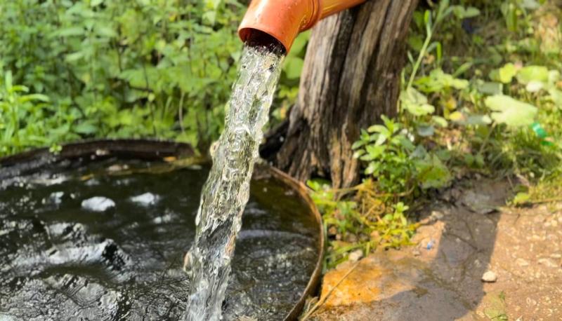 "Создали уют": лесничий из Самарской области благоустроил родник Студеный ключ