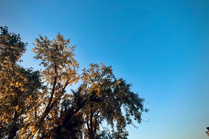 Название статьи