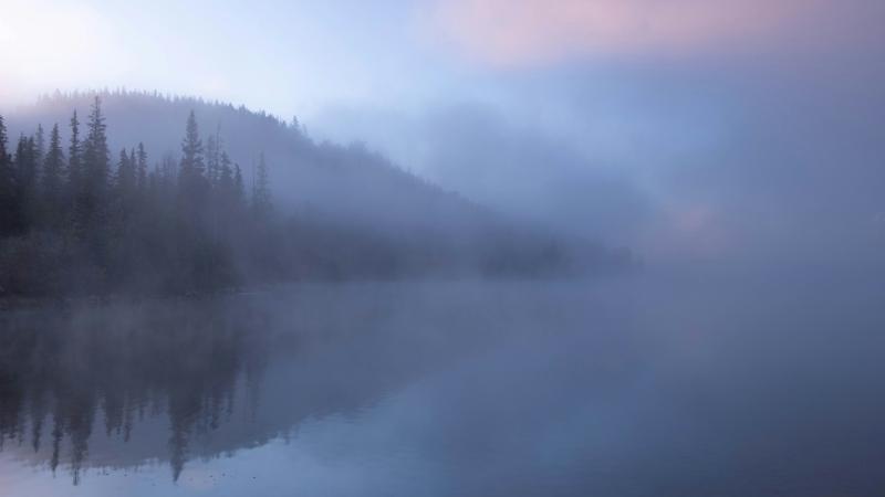 21 марта Самарскую область окутал туман