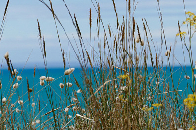 Погода на 26 августа в Самарской области: без осадков и до +30 °C