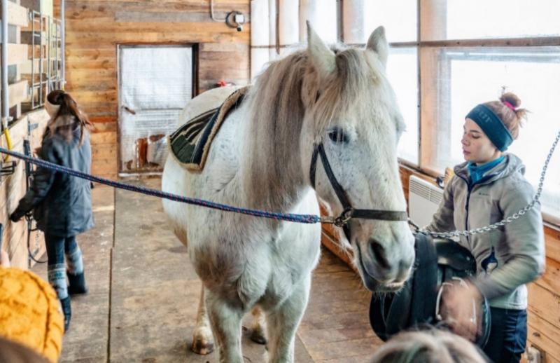 Кони, замок, сыроварня: как прошел очередной пресс-тур областного проекта "Поехали!"