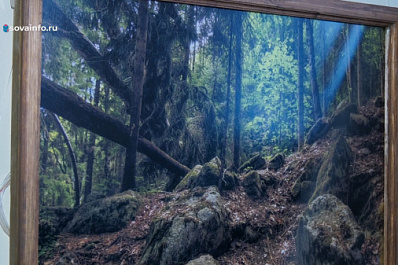 В Самаре работает фотовыставка "Цветные сны"