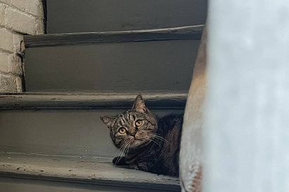 Название статьи