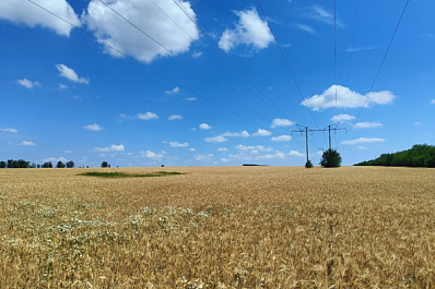 Народные приметы на 23 мая 2025 года: что нельзя делать в этот день