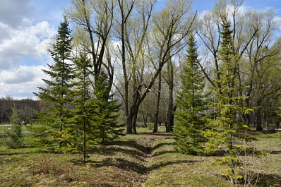 Погода на 18 апреля 2025 года: народные приметы и прогноз синоптиков