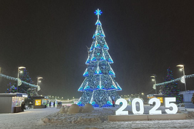 В Самаре к 22 декабря выпало 83 % месячной нормы снега 