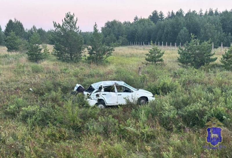 В Самарской области 3 августа водитель с двумя пассажирами на "Калине" улетел в кювет 