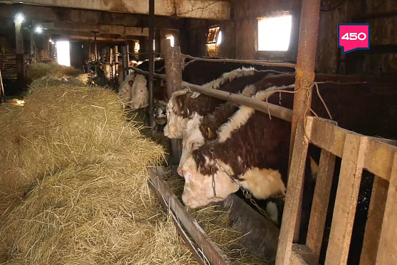 Из "нефтянки" в фермерство. Агрокурьер