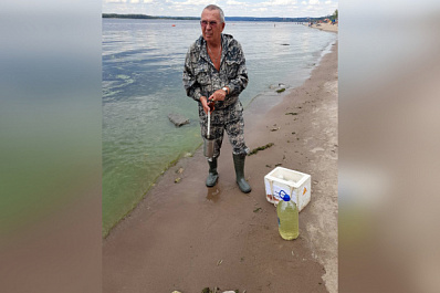 В Самаре из-за массовой гибели рыбы проверяют воду в Волге
