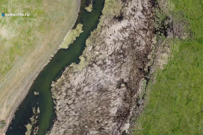 В Самарской области 13 апреля стартует сезон охоты на пернатых