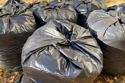 Самарцы заплатят более 1,2 млн рублей за выброс мусора в незаконных местах