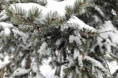 Стало известно, когда Самарскую область накроет первый сильный снегопад