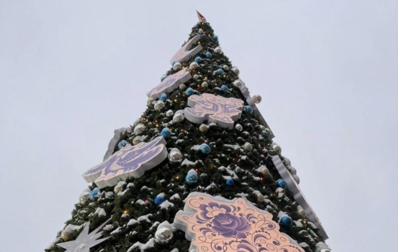 Вице-премьер Дмитрий Григоренко исполнит новогоднее желание 6-летней девочки из Самары