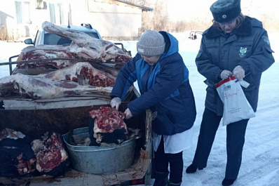 700 килограммов говядины хотели незаконно перевезти в Казахстан из Самарской области