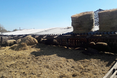 Избавился от тела и сжег одежду: в Самарской области расследуют дело о жестоком убийстве