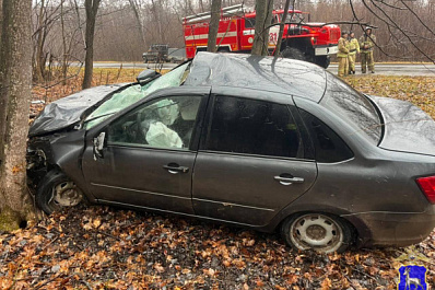 Утром 1 ноября LADA Granta сбила лося в Самарской области