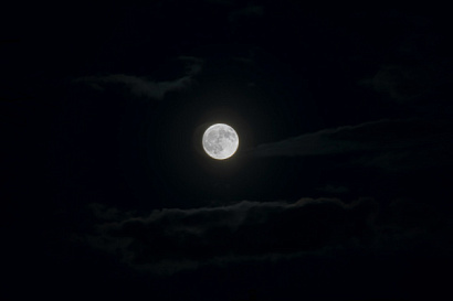 Название статьи