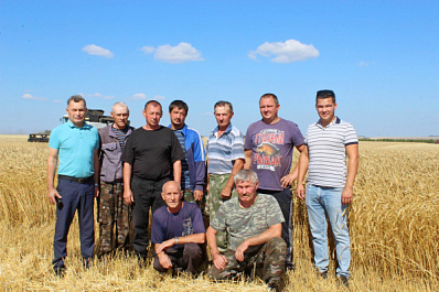 Хлебное место: урожай зависит от правильной комбинации технологий