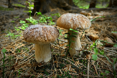 Название статьи