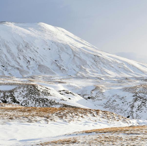 Уфолог рассказал о возможной встрече группы Дятлова с йети