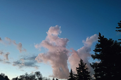 Название статьи