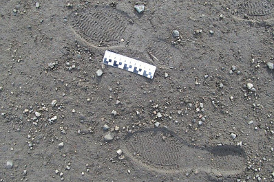 В регионе будут судить объявленную в федеральный розыск воровку