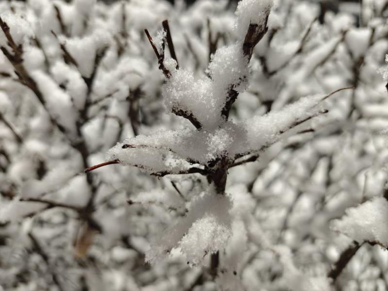В Самарской области 19 декабря ожидается гололед и снег
