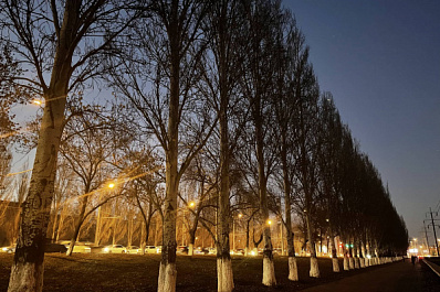 Глава Гидрометцентра Самарской области объяснила, почему в регионе нет снега