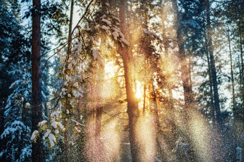 В Самарской области 31 января будет пасмурно и тепло