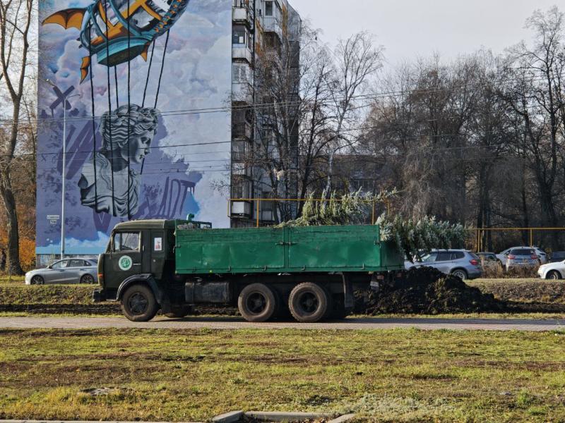 В Самаре высаживают ели вдоль дороги по улице Ташкентской